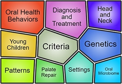 A word collage showing the specific areas of interest of this funding opportunity.